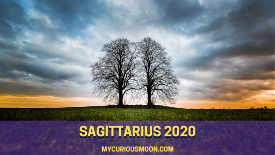 Shocked , Your 2020 Sagittarius