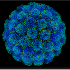 Coronavirus: The Virus With A Crown