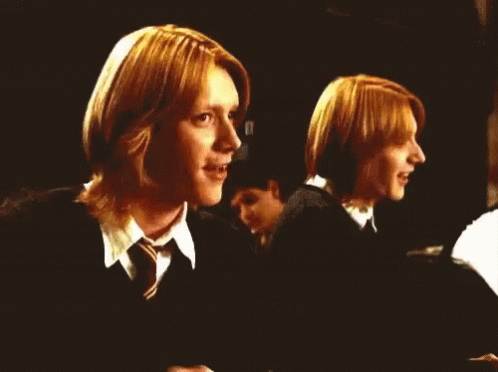 Fred & George Weasley  Harry Potter Zodiac Signs